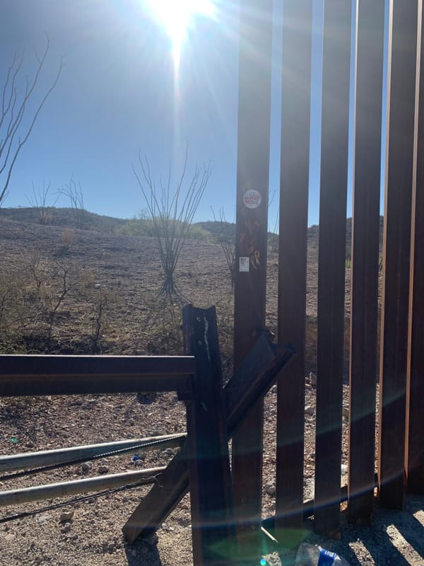Trump and Border Patrol lied about not knowing who was in the caravans.