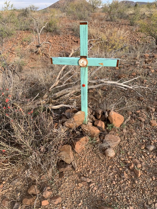 The credibility issue with so-called independent investigators of Border Patrol use of force.