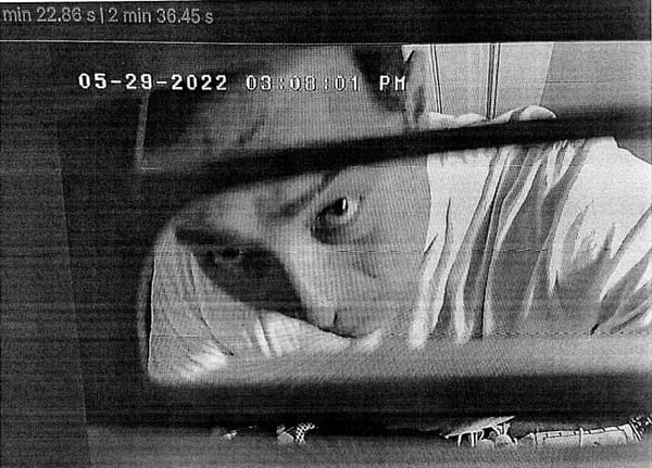 Judge to give Border Patrol agent sweet plea after toddler porn found.